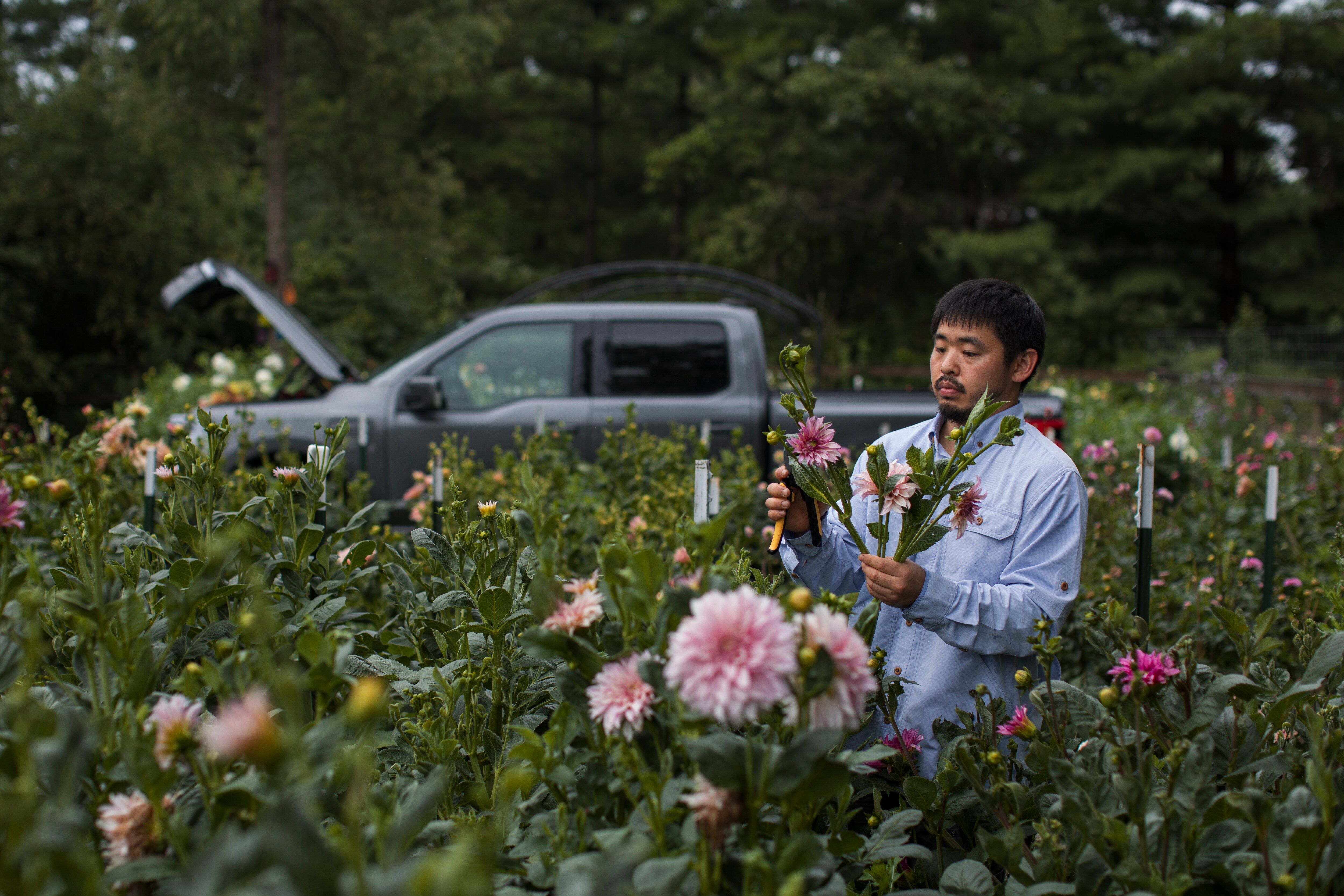 From hauling livestock and powering work to delivering flowers, see how F-150 Lightning is “a total gamechanger” for Chris Yamamoto and his seven-acre farm.